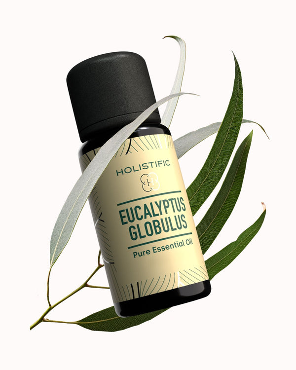 Eukalyptus - esenciální olej