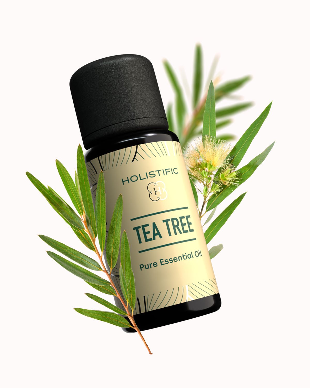 Tea Tree oil - esenciální olej - HOLISTIFIC